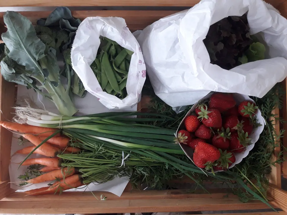 Een pakket met wortelen, lente-uitjes, aardbeien en bladgroenten
